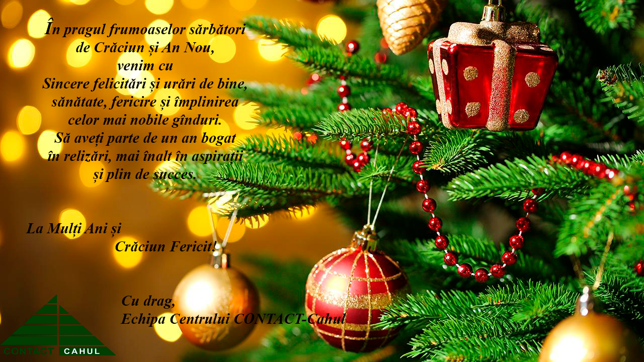 Crăciun Fericit și un An Nou plin de împliniri!