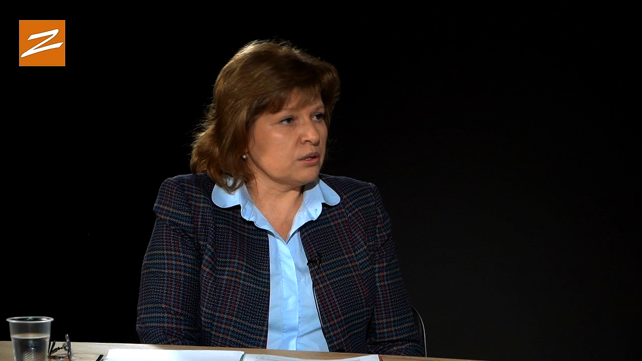 Silvia Strelciuc: Rezultatele concursului de proiecte nu vor fi mai devreme decât sfîrșitul lunii martie