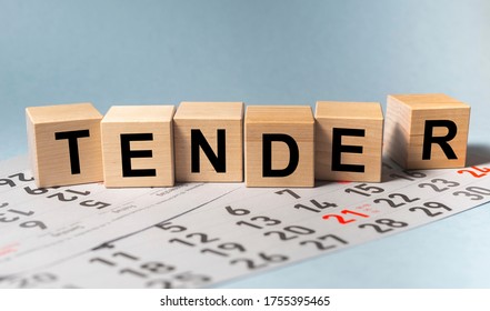 TERMENI DE REFERINȚĂ PRIVIND SELECTAREA UNEI COMPANII PENTRU ELABORAREA UNUI VIDEOGRAFIC