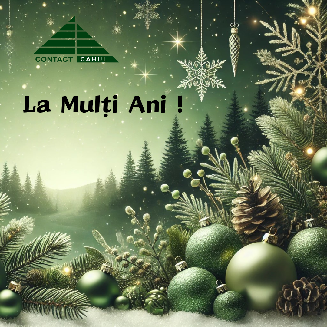 🎄✨ Sărbători Fericite !!!✨🎄